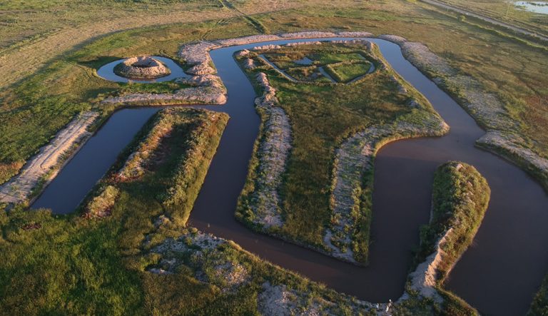 Announcing Terra’s Reforestation Initiative to Offset Carbon Emissions