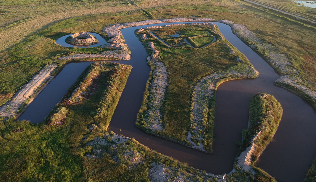 Announcing Terra’s Reforestation Initiative to Offset Carbon Emissions 